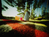 Colorful Squares on Forest Grass Photographic Print by Lena Johansson