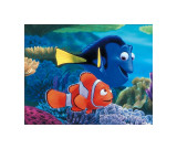 Searching For Nemo Giclee Print