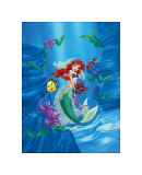 Ariel: Dreams Under the Sea reproduction procédé giclée
