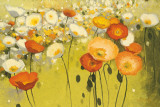 Shirley Novak - Spring Confetti Obrazy Shirley Novak - Spring Confetti Obrazy