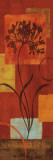Warm Thoughts I Posters by Lisa Audit