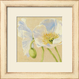 White Poppies I Prints by Shirley Novak