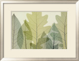 Six Leaves Lámina por Steven N. Meyers Six Leaves Lámina por Steven N. Meyers