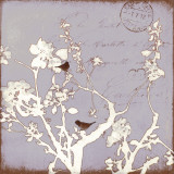 Song Birds VII Art by Amy Melious