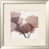 Ginkgo Leaves I Posters tekijänä Steven N. Meyers Ginkgo Leaves I Posters tekijänä Steven N. Meyers