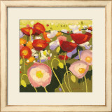 Confetti II Prints by Shirley Novak