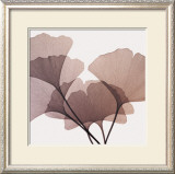 Ginkgo Leaves I Prints by Steven N. Meyers