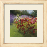 Cosmos Garden I Prints by Shirley Novak