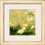 In the Midday Sun Print by Shirley Novak