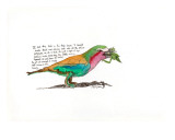 Lilac Breasted Roller Edição limitada por John Woolley Lilac Breasted Roller Edição limitada por John Woolley