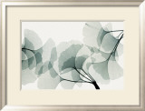 Ginkgo Dance Posters van Steven N. Meyers
