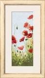 Mountain Poppies II Pôsters por Shirley Novak