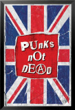 Punks Not Dead Pósters
