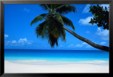 Seychelles Pósters por Mark Karrass
