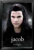 Twilight Posters
