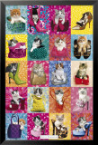 Kimberlin Cat Collage Fotografía