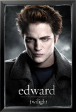 Twilight Posters