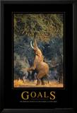 Cele Poster