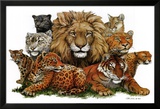 Gros chats Photographie par Peter Kull