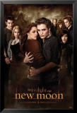 Twilight - Luna nueva Pósters