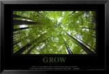 Grow Plakater