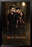 Twilight - New Moon Posters