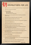 Instructions for Life Póster