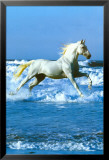 Meer Poster von Bob Langrish