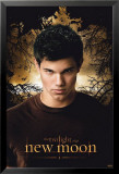 Twilight - New Moon Posters