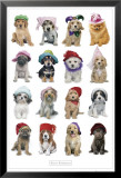 Keith Kimberlin - Puppies in Hats - Poster Keith Kimberlin - Puppies in Hats - Poster