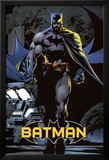 Batman Logo Poster
