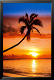 Sunset Palm Prints