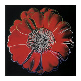 Flower For Tacoma Dome, c.1982 (Black and Red) Lámina giclée por Andy Warhol