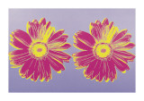 Daisy, c.1982 (Double Pink) Impressão giclée por Andy Warhol Daisy, c.1982 (Double Pink) Impressão giclée por Andy Warhol