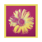 Daisy, c.1982 (Fuchsia and Yellow) Lámina giclée por Andy Warhol Daisy, c.1982 (Fuchsia and Yellow) Lámina giclée por Andy Warhol