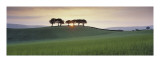 Somerset Sunrise Giclee Print by David Noton