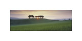 Sonnenaufgang in Somerset Giclée-Druck von David Noton