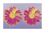 Daisy, c.1982 (Double Pink) Lámina giclée por Andy Warhol
