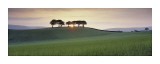Somerset Sunrise Giclee-vedos tekijänä David Noton
