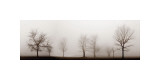 Misty Meadow reproduction procédé giclée par Erin Clark