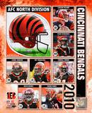 2010 Cincinnati Bengals Team Composite Photo