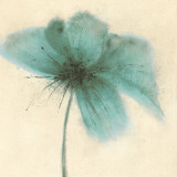 Floral Burst III Art by Emma Forrester