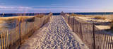 Sendero hacia la playa Arte por Joseph Sohm