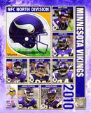2010 Minnesota Vikings Team Composite Foto