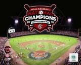 University of South Carolina 2010 NCAA College Baseball World Series Champions Photo