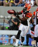 Terrell Owens 2010 Action Photo