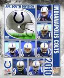 2010 Indianapolis Colts Team Composite Photo