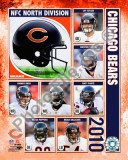 Buy 2010 Chicago Bears Team Composite