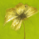 Floral Burst VI Posters by Emma Forrester