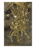 12 trophées de bronze de la Galerie des Glaces, mur Est, côté face aux fenêtres Giclee-trykk av Jacques Buirette